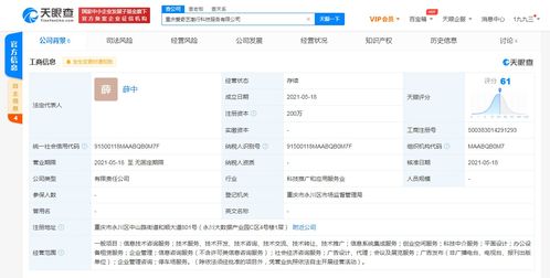 愛奇藝在重慶成立科技公司，拓展創業空間與信息系統集成服務